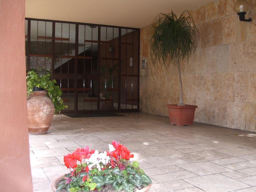 רומא B&B La Cubanina מראה חיצוני תמונה