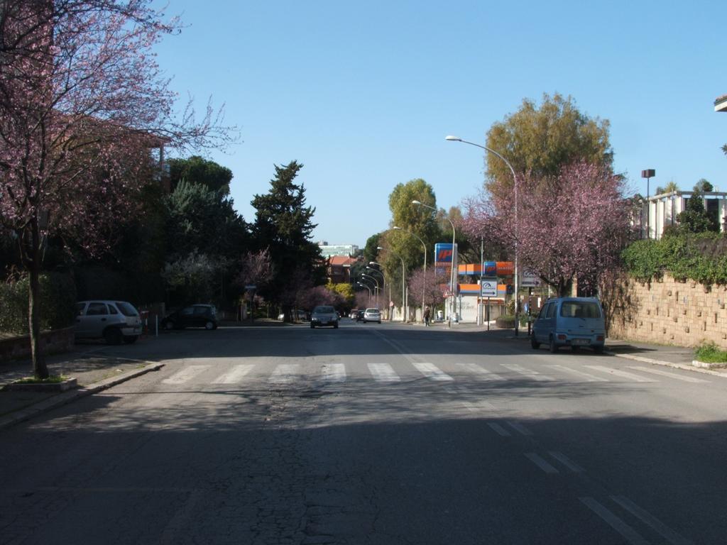 רומא B&B La Cubanina מראה חיצוני תמונה
