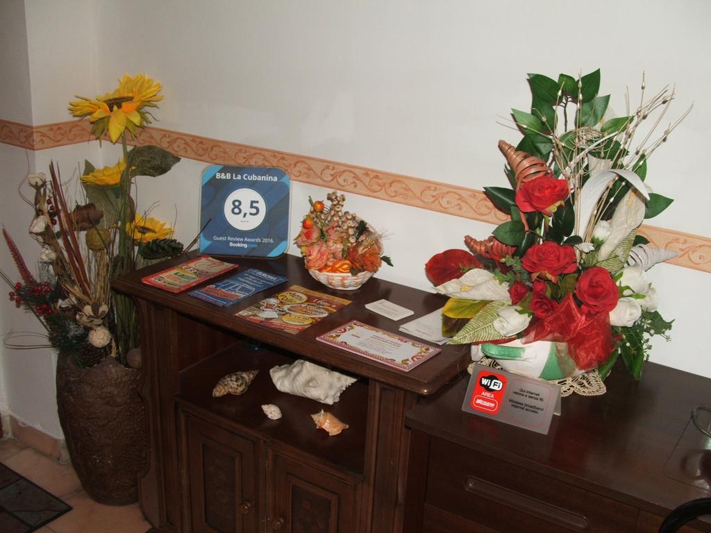 רומא B&B La Cubanina מראה חיצוני תמונה